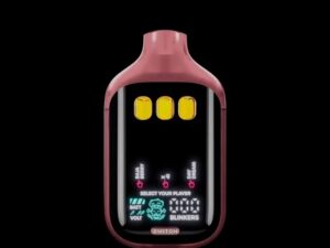 Boutiq Switch V5 Baja Berry x X 41 x Day Dream