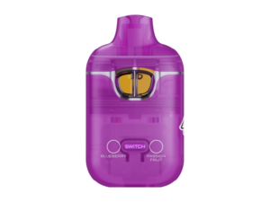 Buy Boutiq V3 Disposables Blueberry / Passion Fruit switch vape