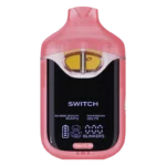 Boutiq Disposable V4 – Bubblegum Runtz x Rainbow Beltz