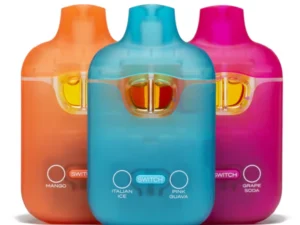 Boutiq V3 Disposable Switch